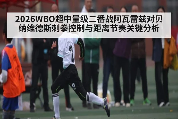2026WBO超中量级二番战阿瓦雷兹对贝纳维德斯刺拳控制与距离节奏关键分析